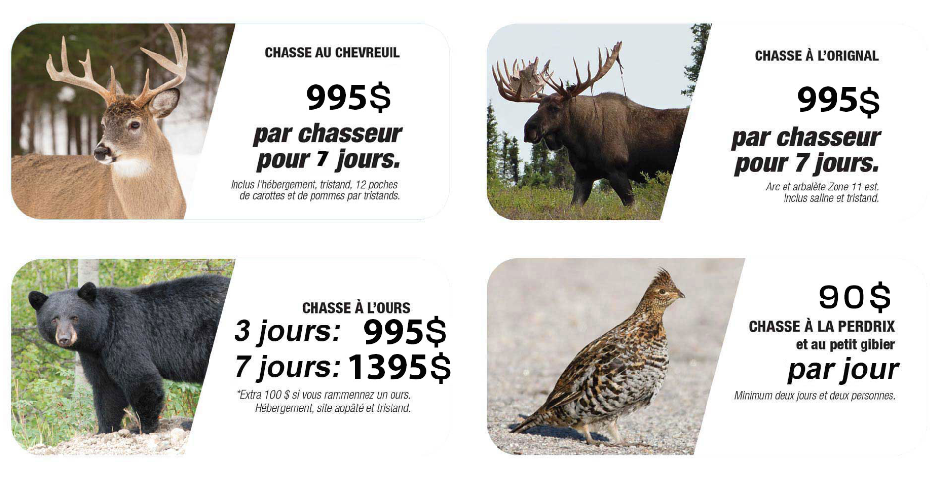 nouveau-chasse-banniere-francais.png